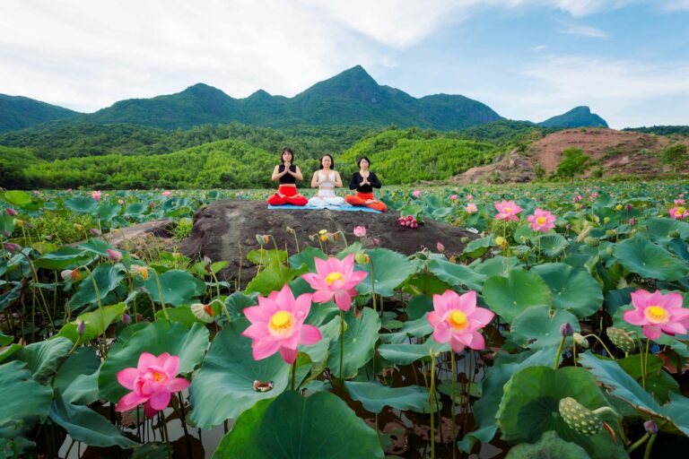 Three women practicing yoga meditation in a vibrant lotus field in Hội An, Vietnam.